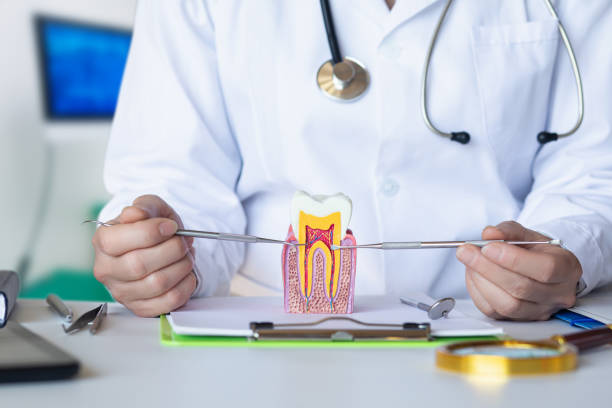 Best Emergency Dental Care for Abscessed Tooth in Mason, TX